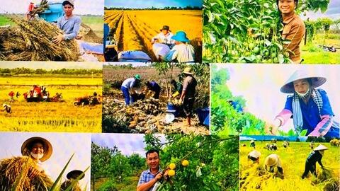 Quy định chi tiết một số điều của Luật giám định tư pháp trong lĩnh vực nông nghiệp và môi trường