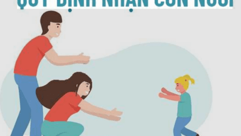 Xác định thẩm quyền đăng ký nuôi con nuôi trong nước